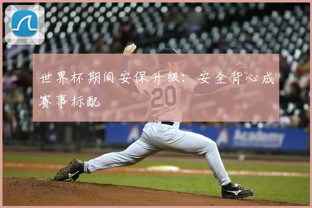 世界杯期间安保升级：安全背心成赛事标配