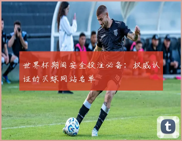 世界杯期间安全投注必备：权威认证的买球网站名单
