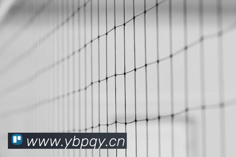 九游网页版本官网品牌故事